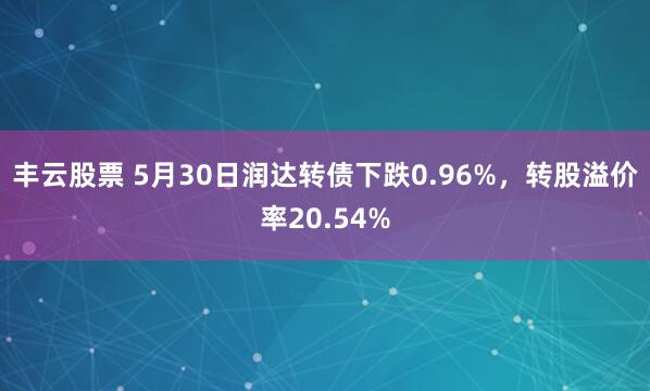 丰云股票 5月30日润达转债下跌0.96%，转股溢价率20.54%