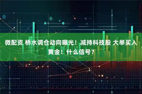 微配资 桥水调仓动向曝光!减持科技股 大举买入黄金!什么信号?