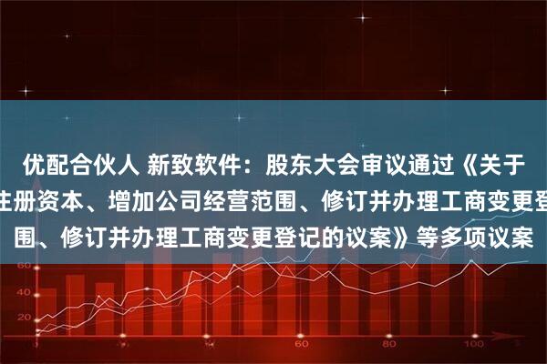 优配合伙人 新致软件：股东大会审议通过《关于取消监事会、变更公司注册资本、增加公司经营范围、修订并办理工商变更登记的议案》等多项议案